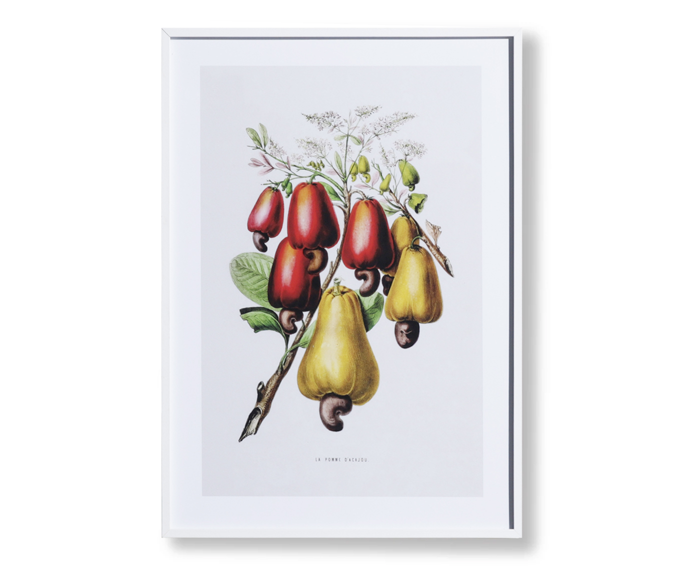 Quadro Decorativo Alceu image number 0
