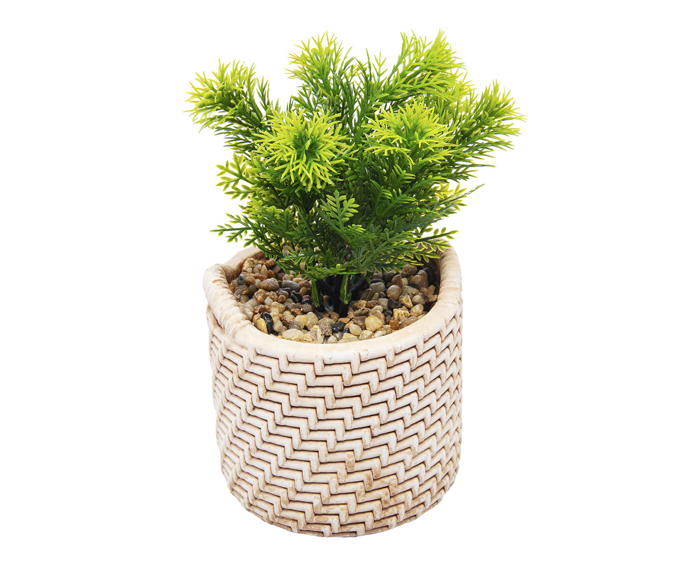 Cachepot Palha com Suculenta - image 1