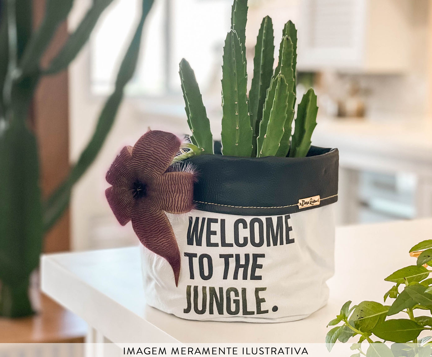 Cachepot Welcome To The Jungle Preto e Branco - image 1