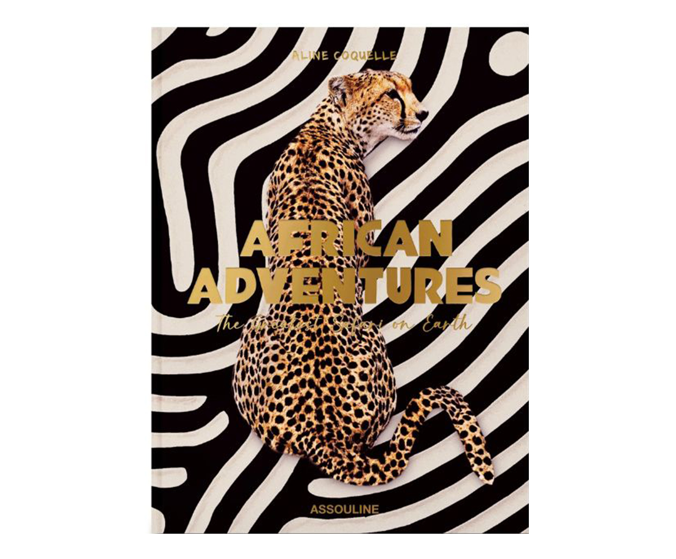 Livro "African Adventures" - image 0