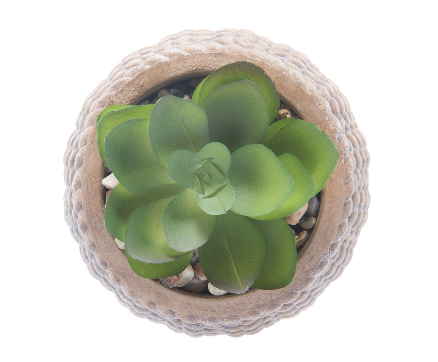 Cachepot Sisal com Suculenta II image number 3