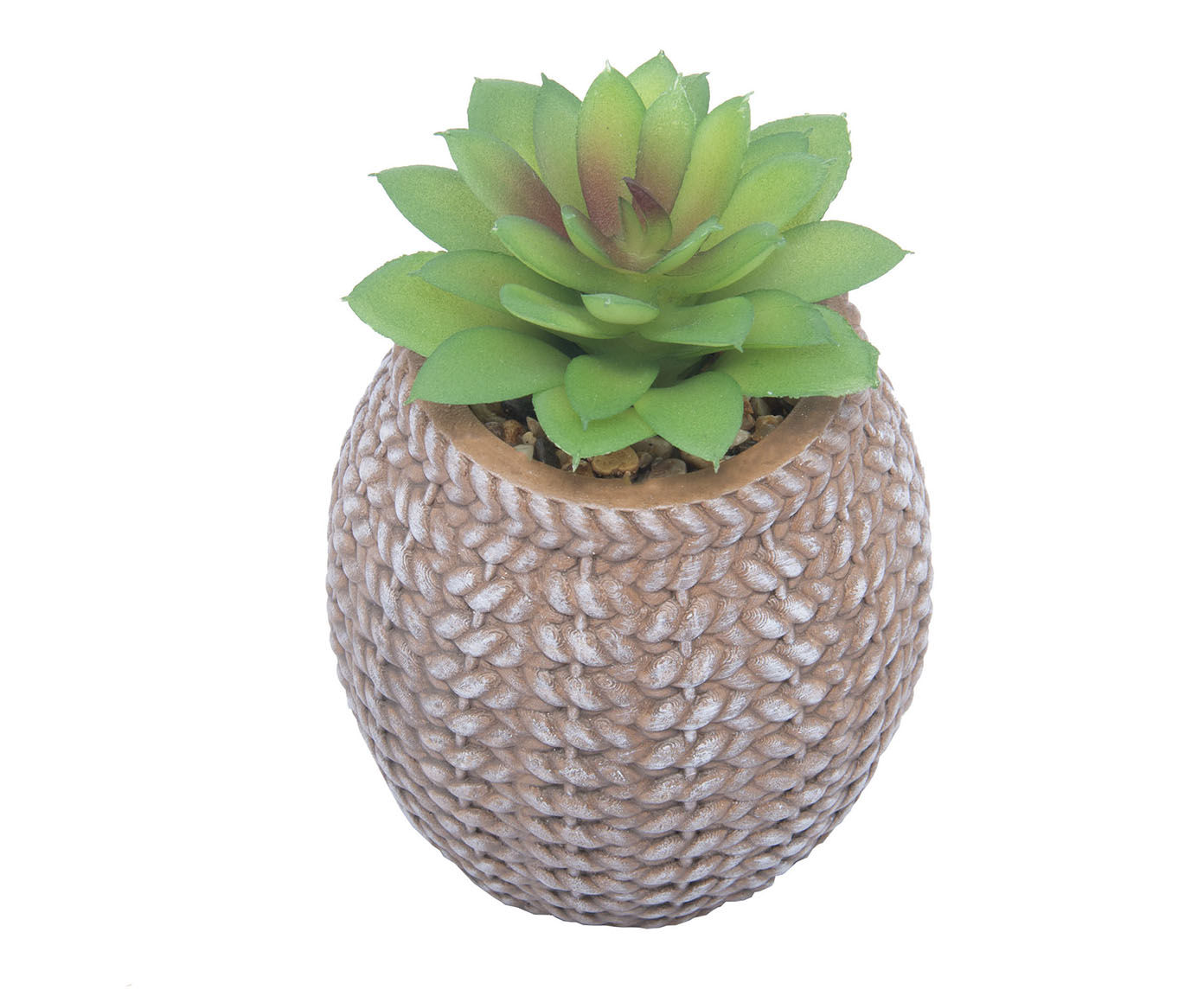 Cachepot Sisal com Suculenta I - image 1