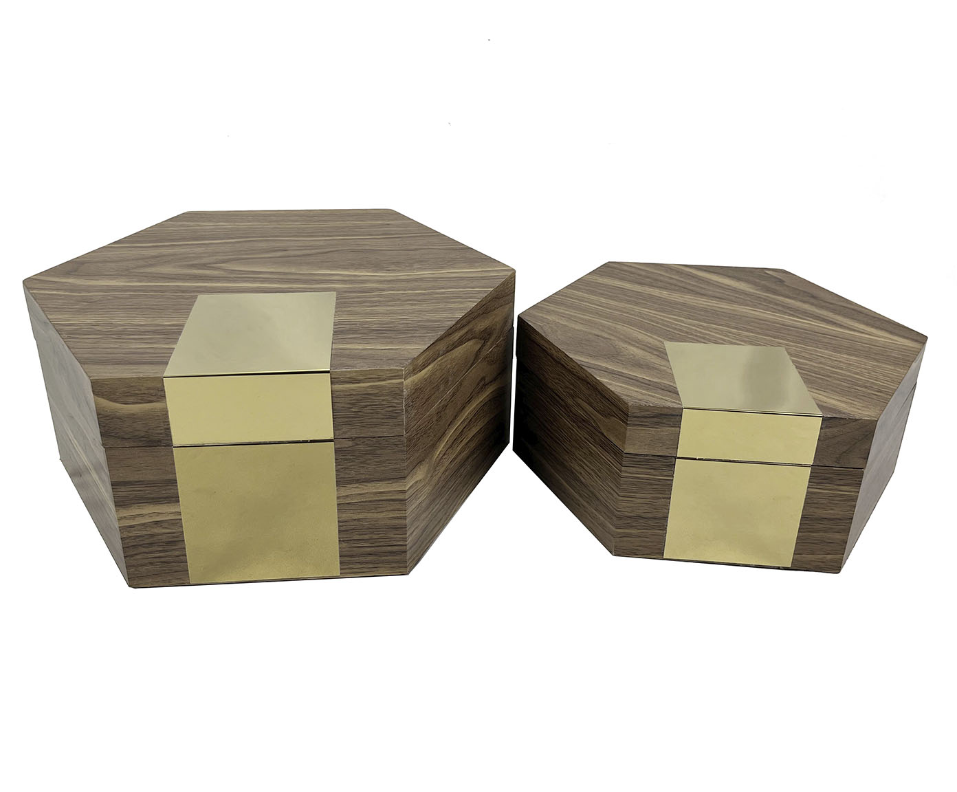 Jogo de Caixas Decorativas Phati Marrom Escuro e Dourado - image 0