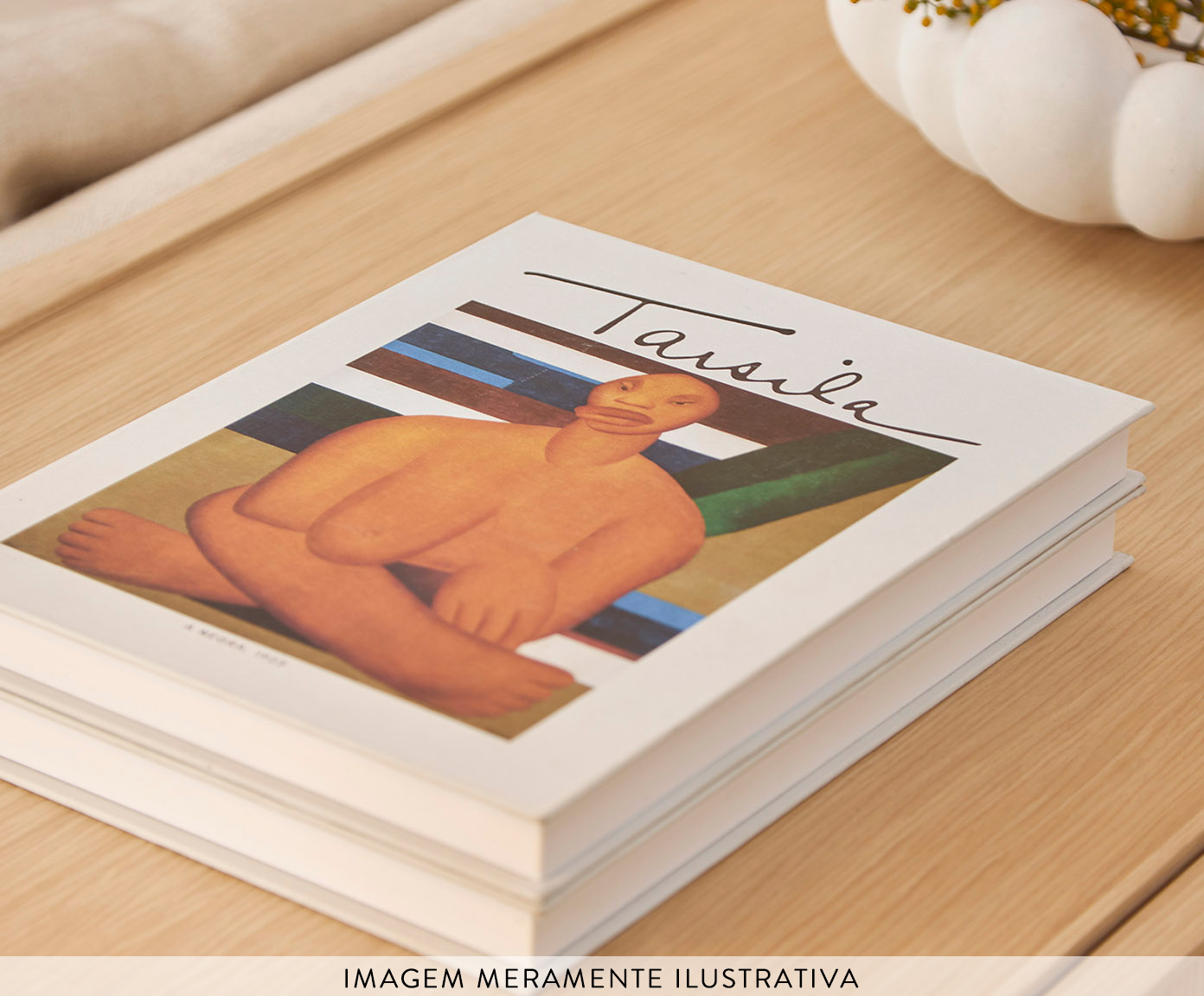 Livro-Caixa em Mdf e Canvas A Negra - image 1
