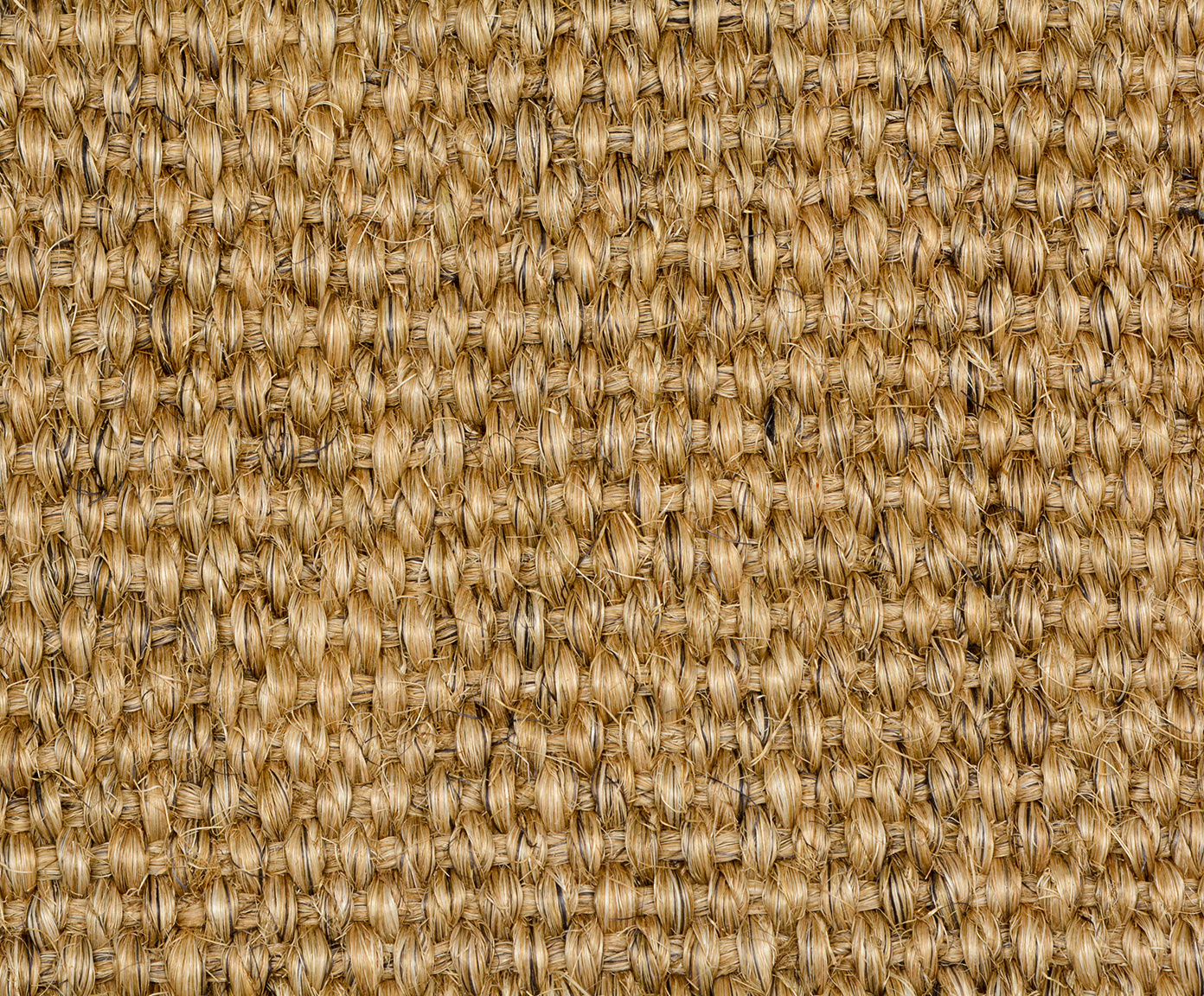 Tapete Debrum Amazonas Cru image number 3
