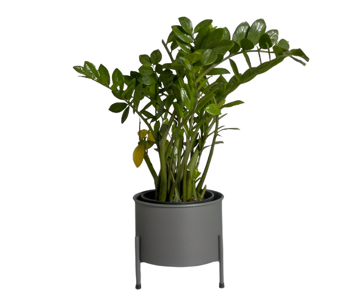 Suporte de Plantas com Vaso Slim Humait&aacute; Cinza - image 0
