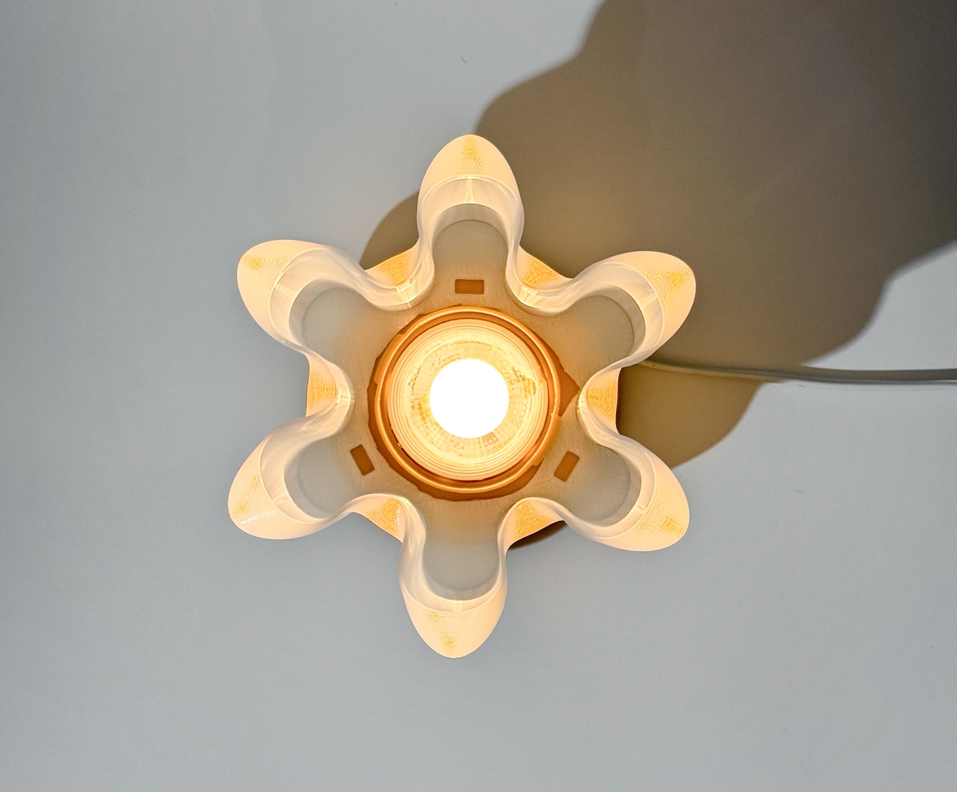 Lumin&aacute;ria Bloom image number 2