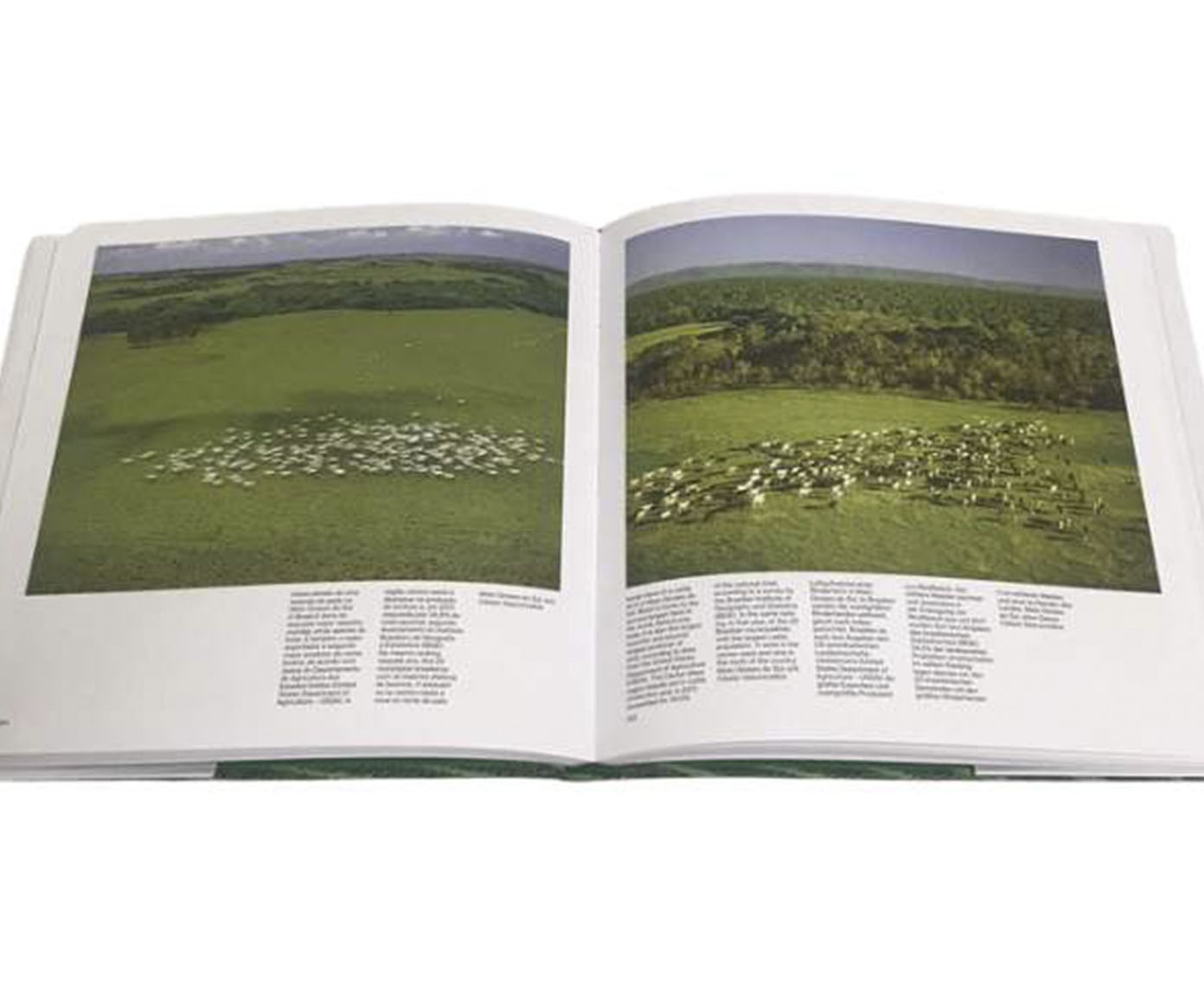 Livro "Agroneg&oacute;cio Brasileiro" - image 1