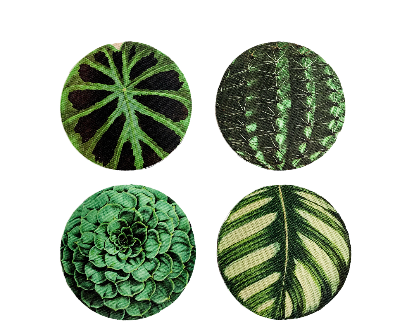 Jogo de Porta-Copos Botanical - image 0
