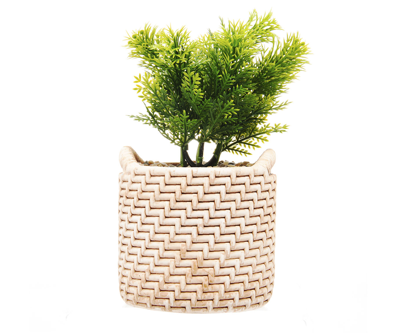 Cachepot Palha com Suculenta - image 0