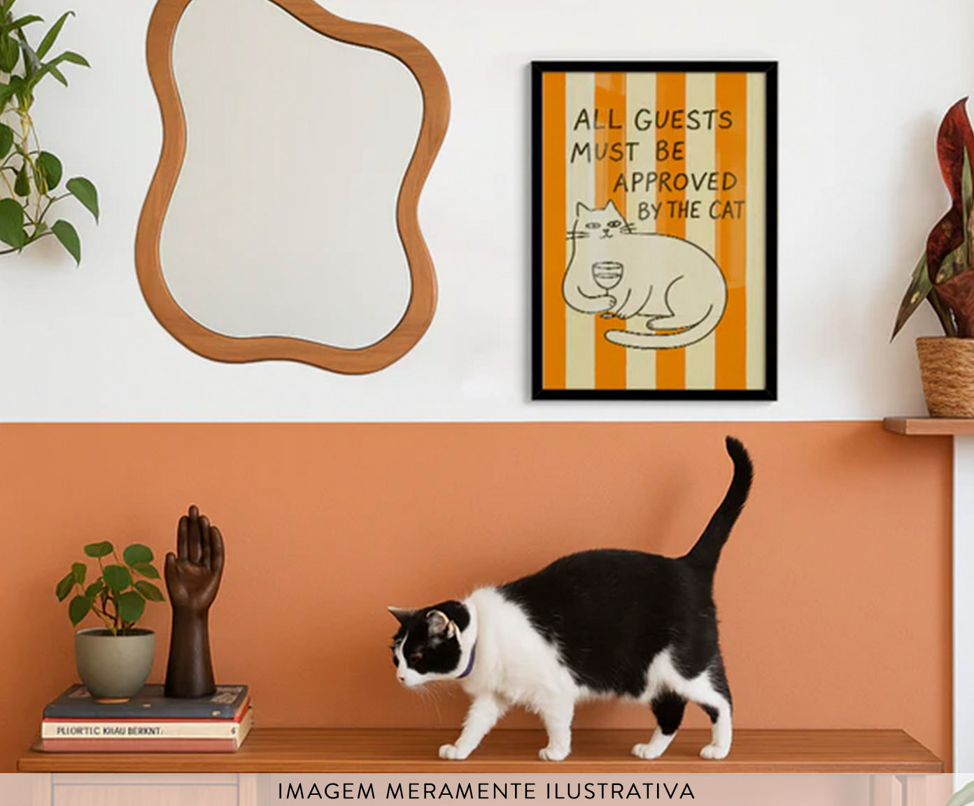 Quadro Cat com Moldura Branca - image 1
