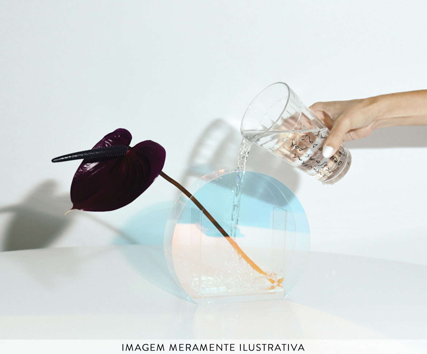 Vaso Circular image number 3