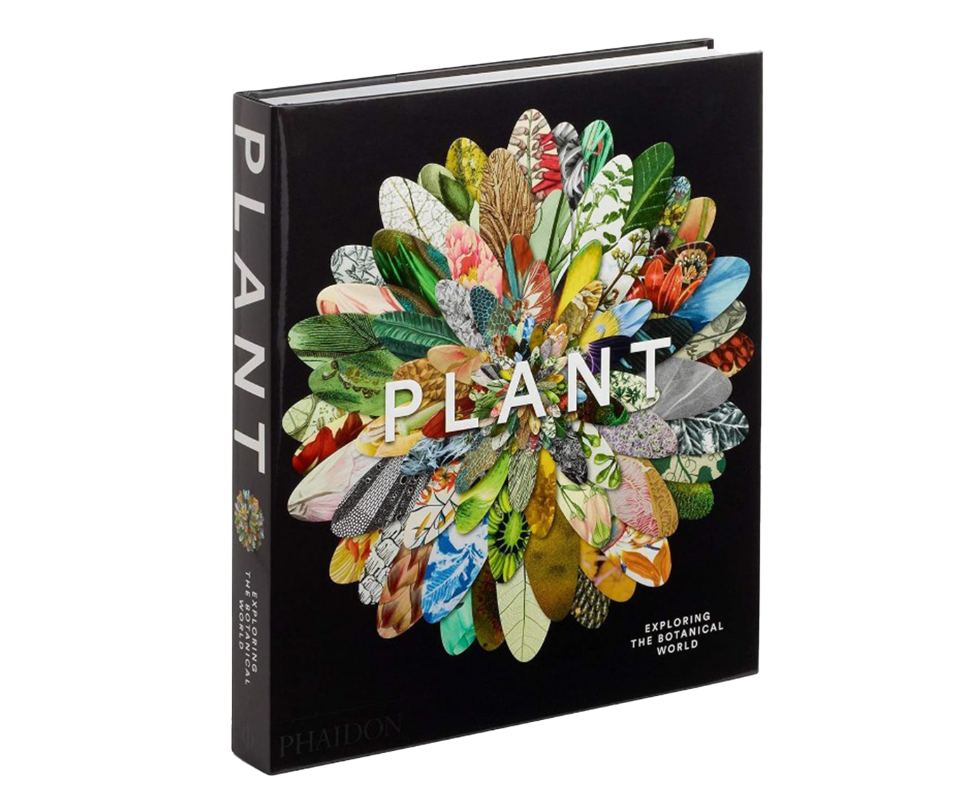 Livro "Plant: Exploring The Botanical World" - image 0