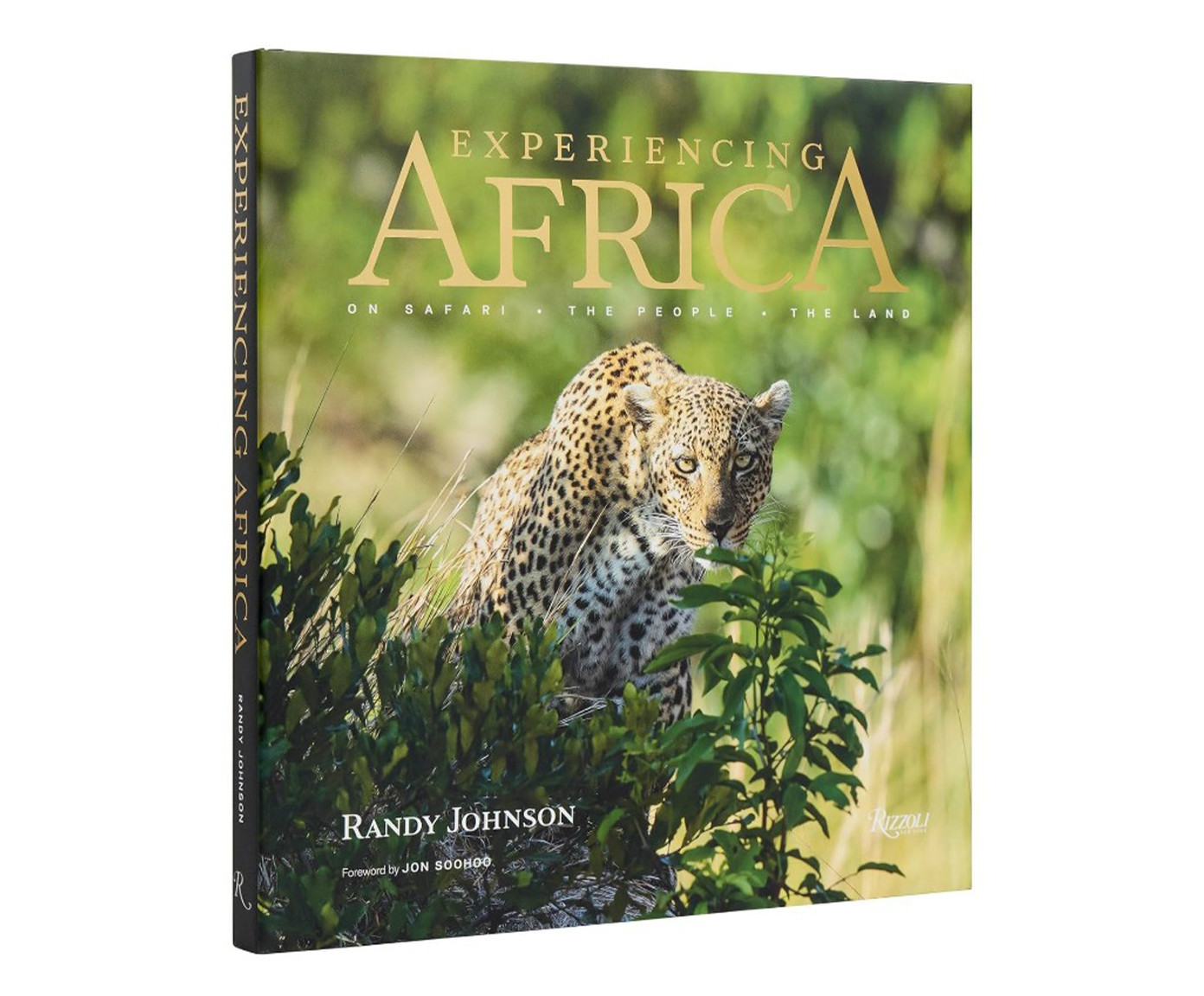 Livro "Experiencing Africa" - image 0