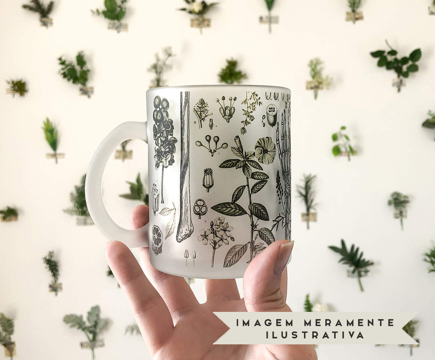 Caneca Botanical image number 8