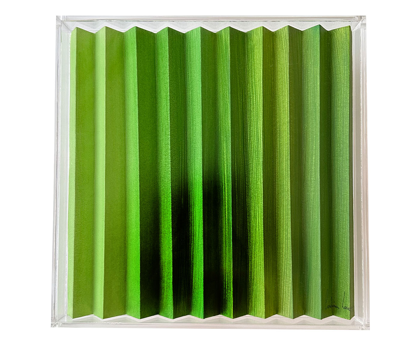 Quadro Degrad&ecirc; Aspargo - image 0