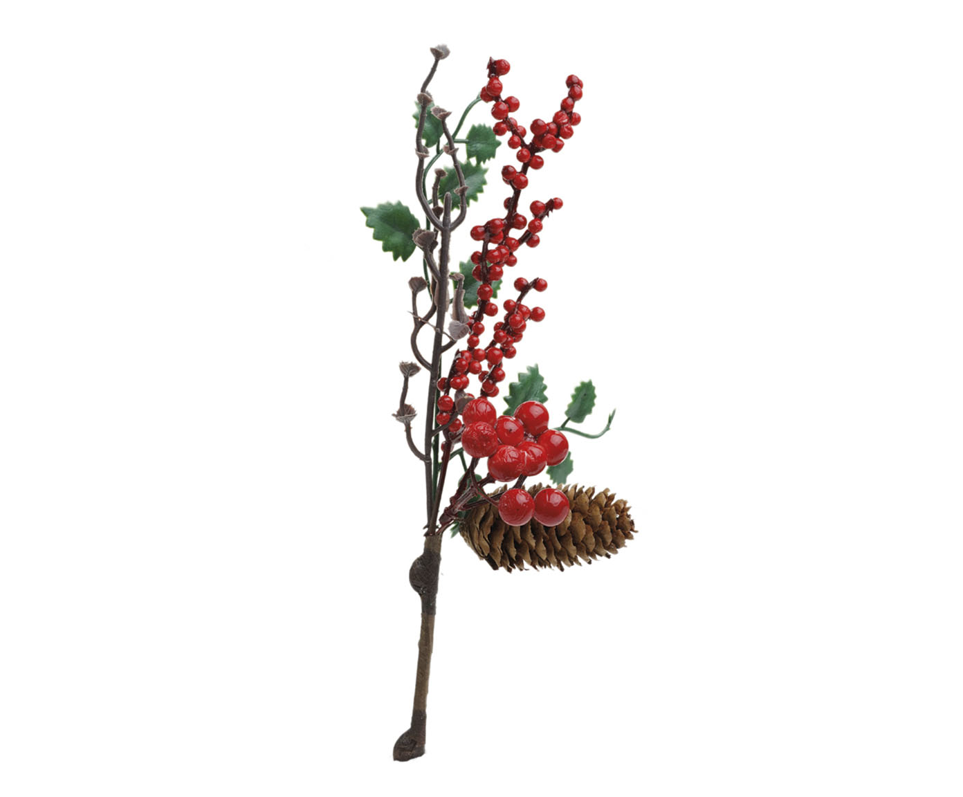 Galho Curto com Folhas, Frutas e Pinha - image 0