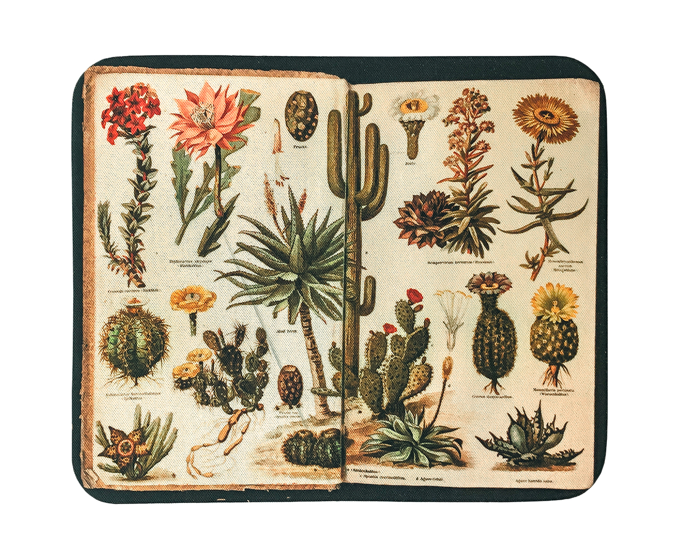 Mousepad Livro Bot&acirc;nico - image 0