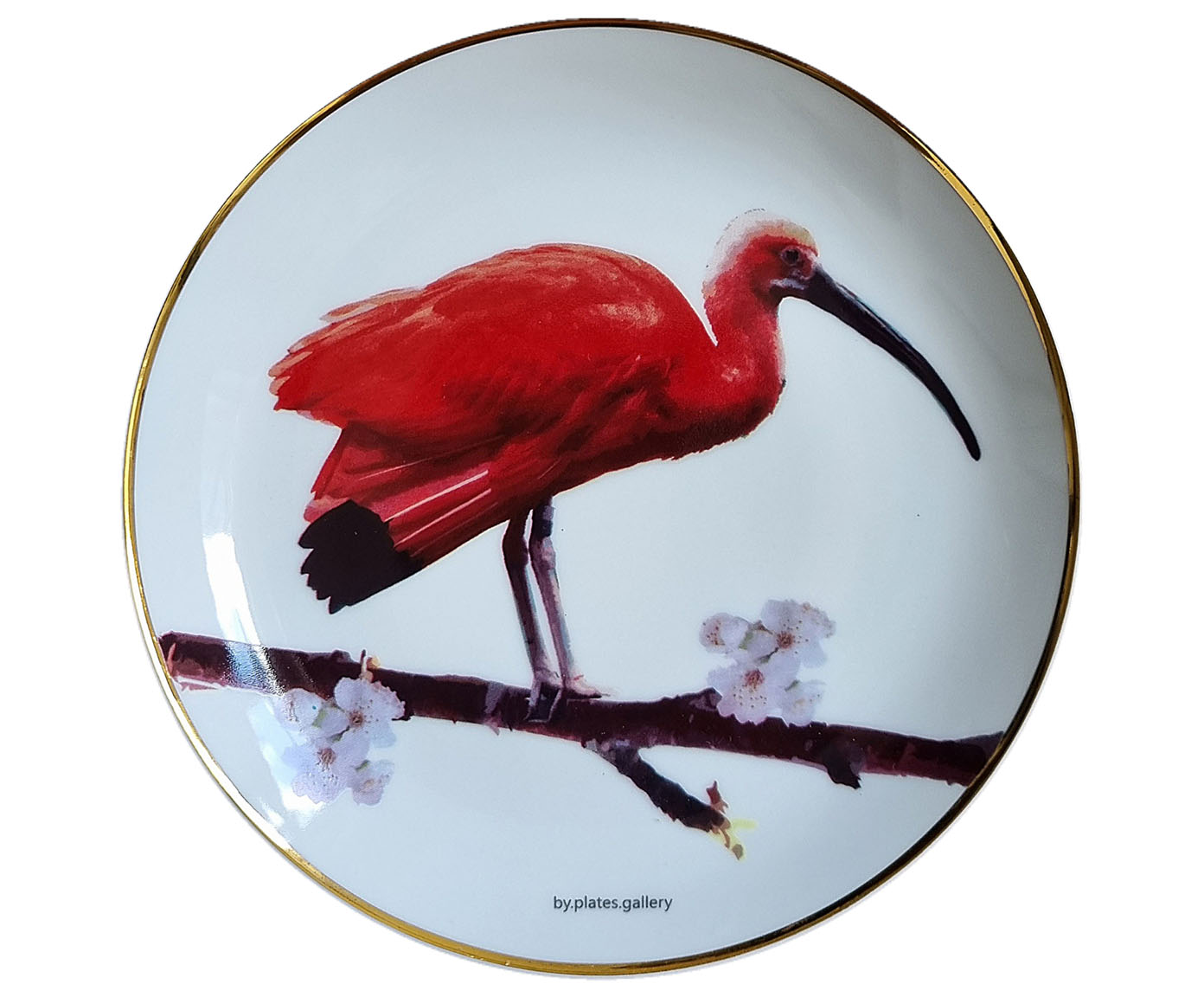 Prato de Porcelana Guar&aacute; Jurema - image 0