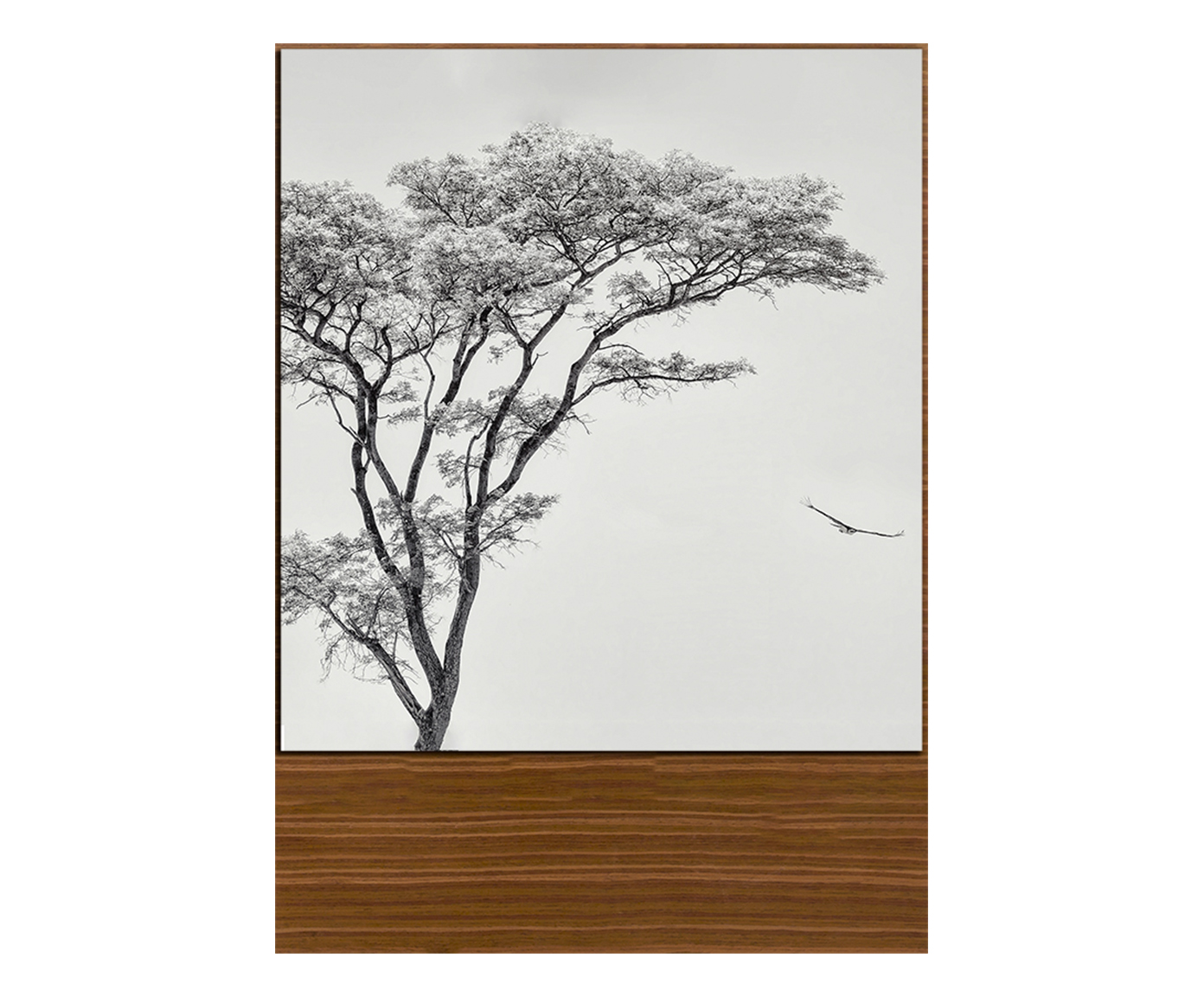 Quadro Nature White II - image 0