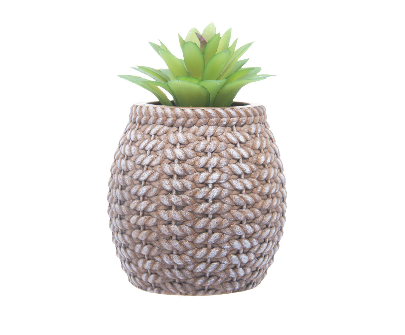 Cachepot Sisal com Suculenta I - image 0