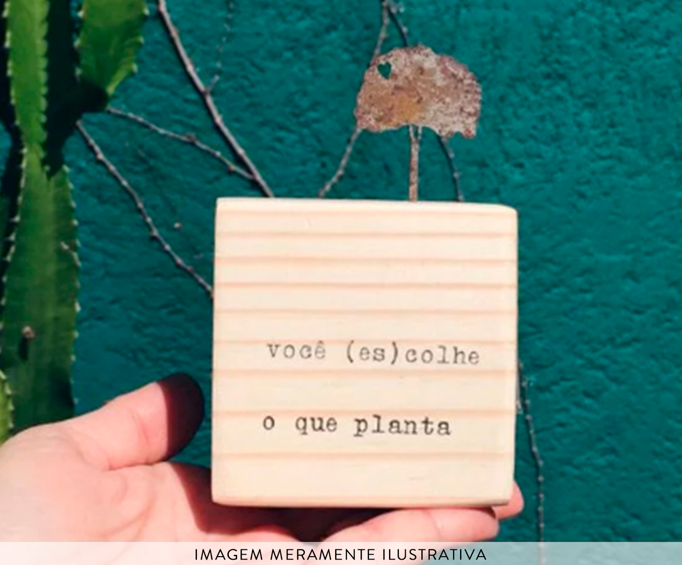 Cubo - Voc&ecirc; (Es)Colhe o que Planta - image 1
