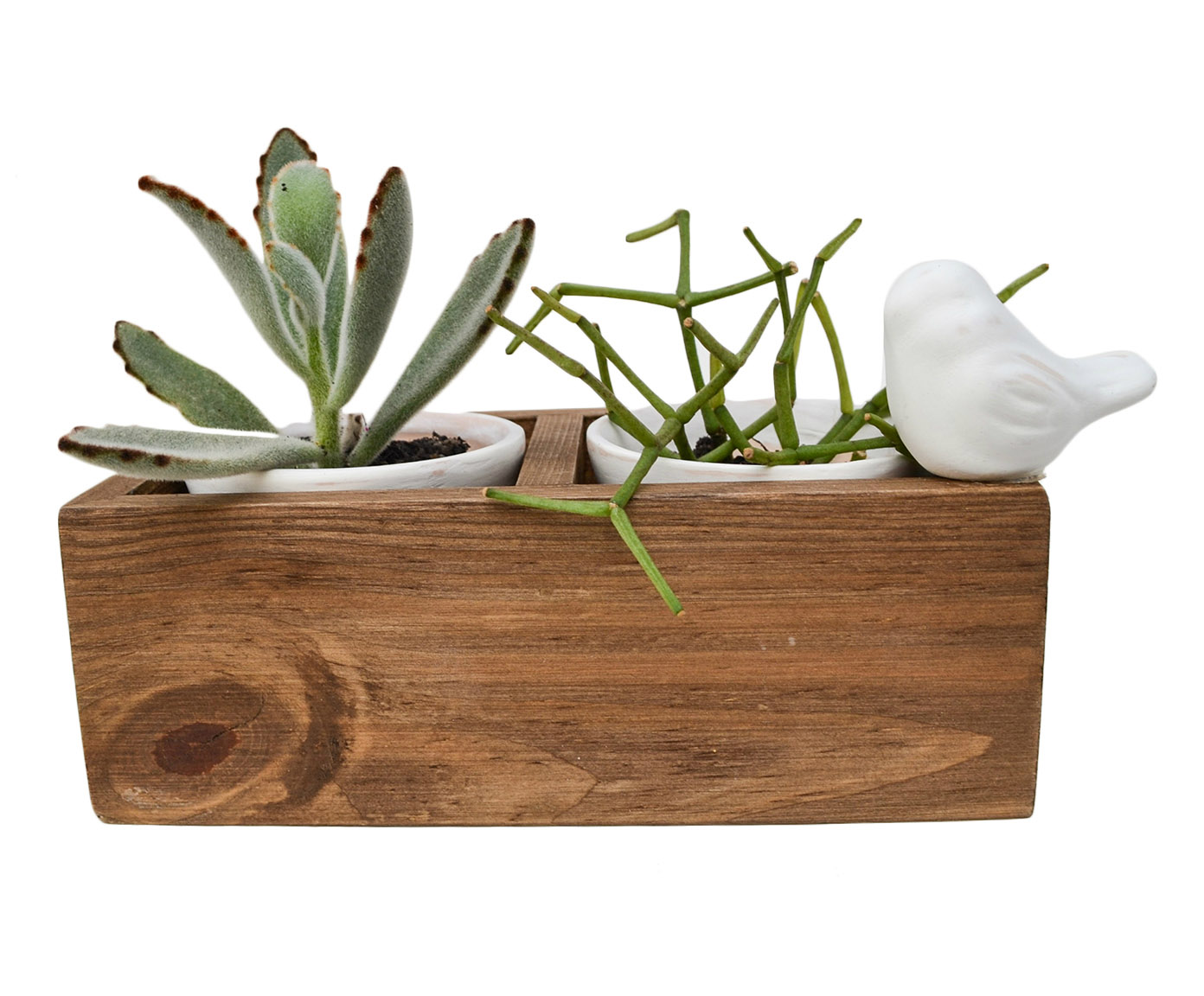 Jogo de Vasos P&aacute;ssaro - image 1