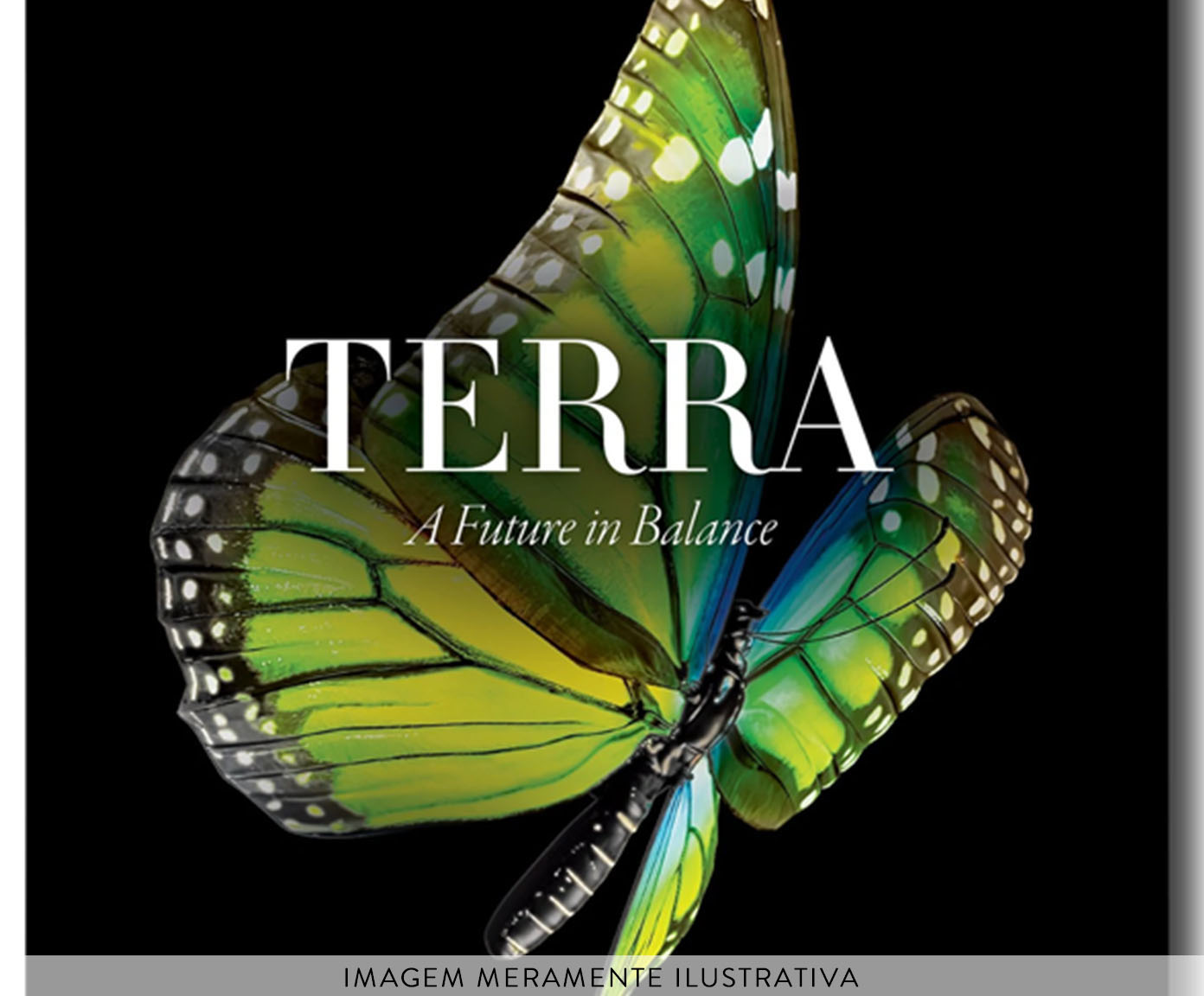 Livro "Expo 2020 Dubai: Terra - The Sustainability Pavilion" - image 1