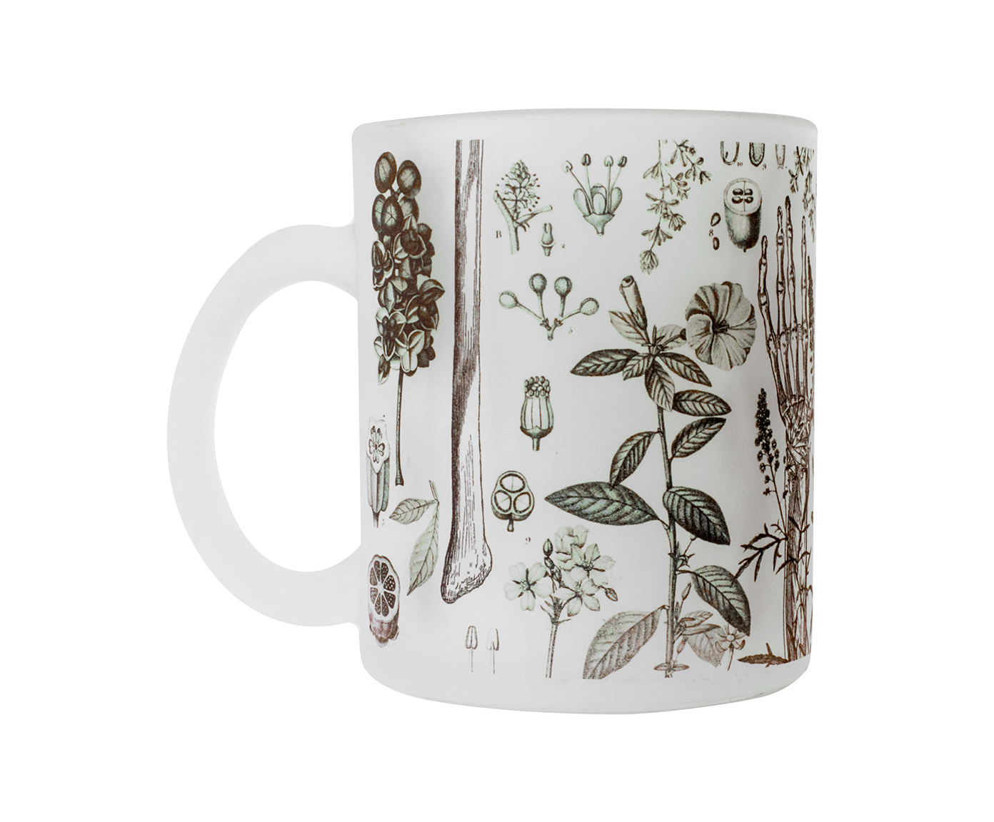 Caneca Botanical - image 1