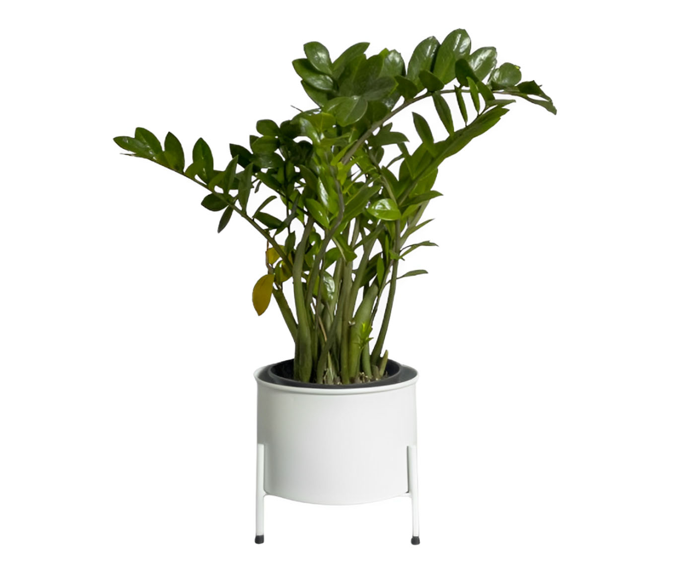 Suporte de Plantas com Vaso Slim Humait&aacute; Branco - image 0