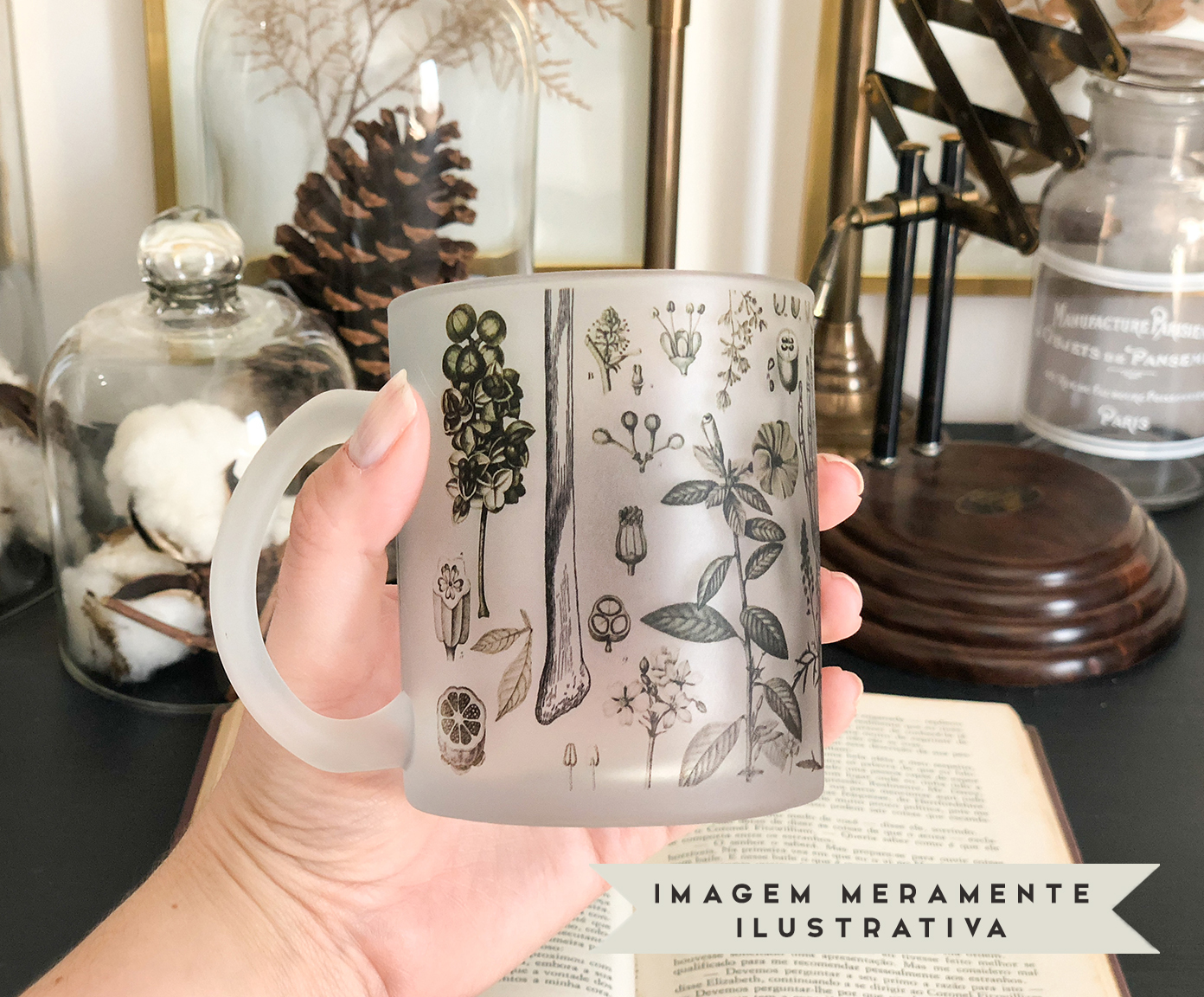 Caneca Botanical image number 6
