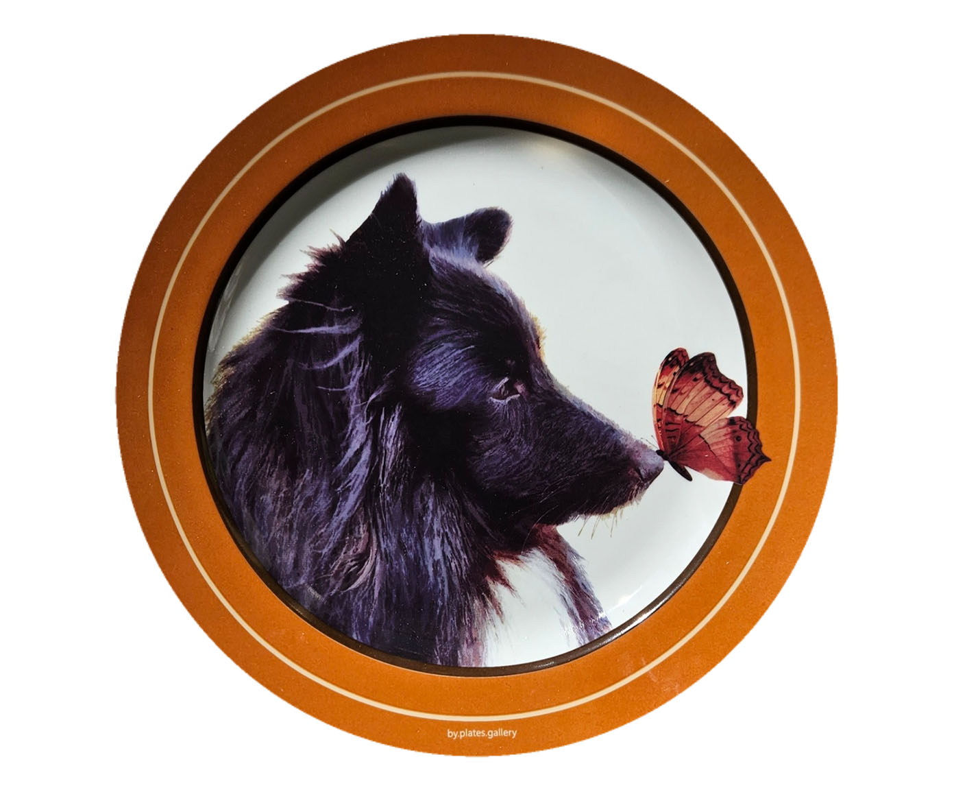 Prato em Porcelana Cachorro Sheltie Hector - image 0