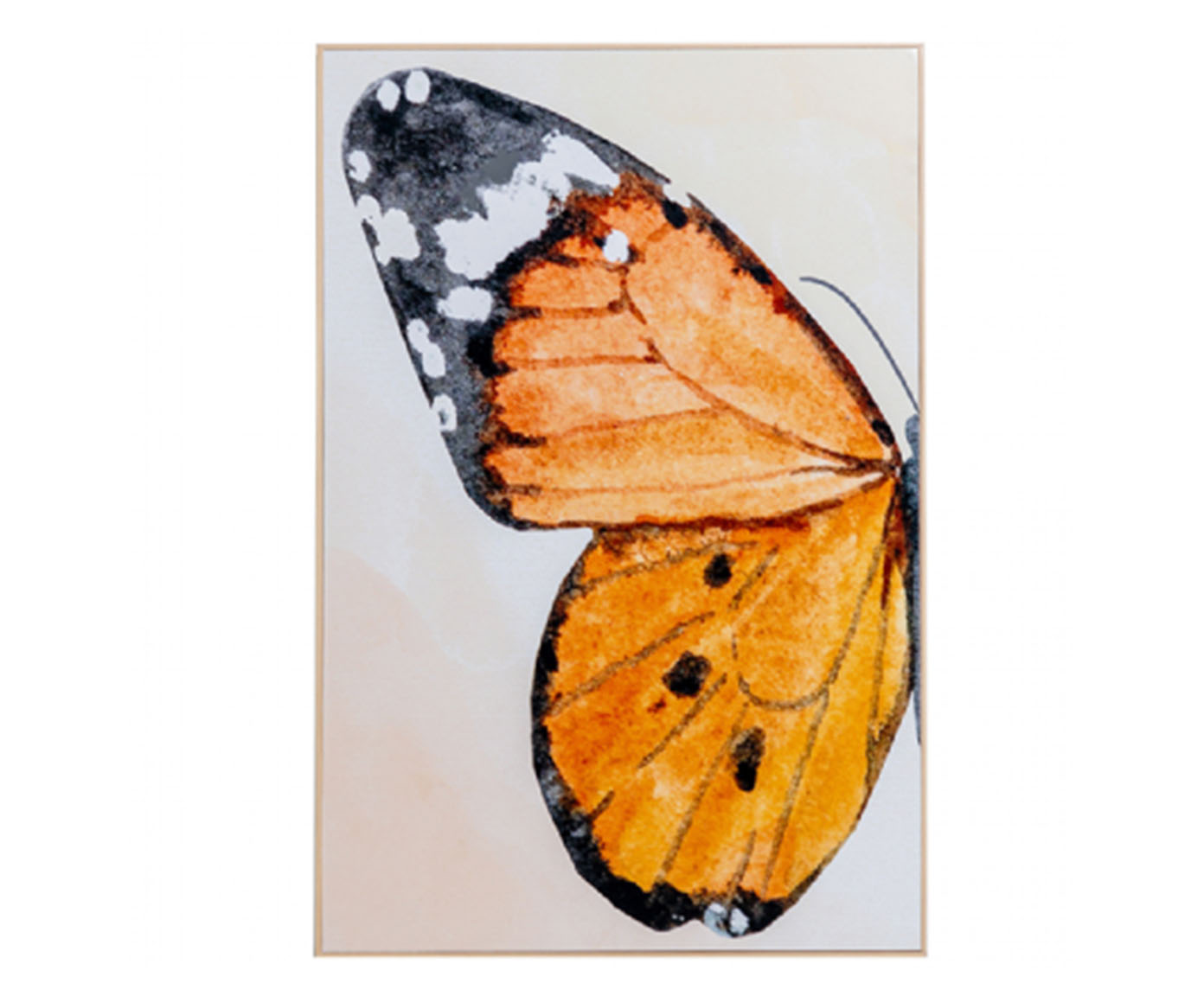 Quadro Papillon - image 0