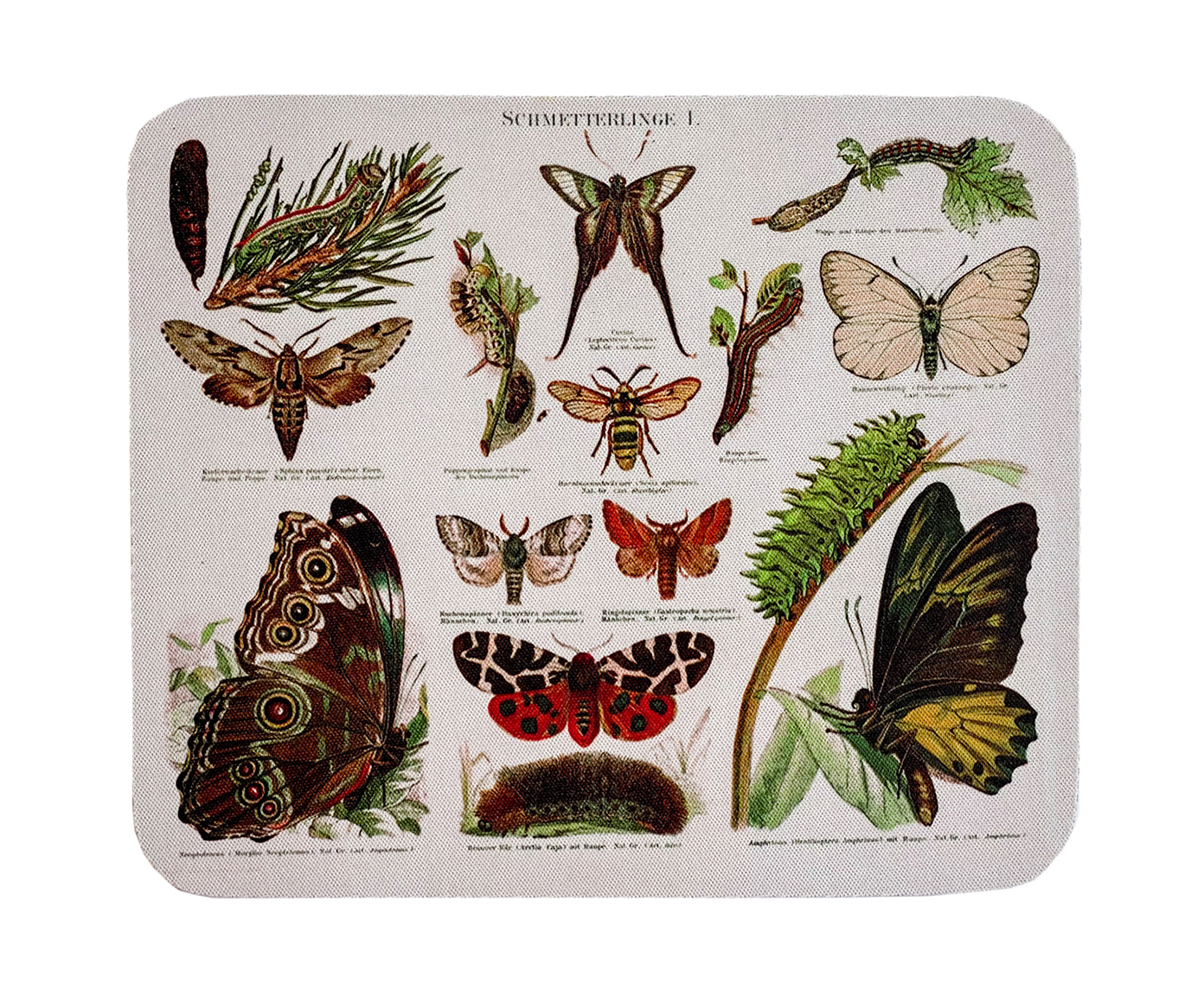 Mousepad Borboletas - image 0