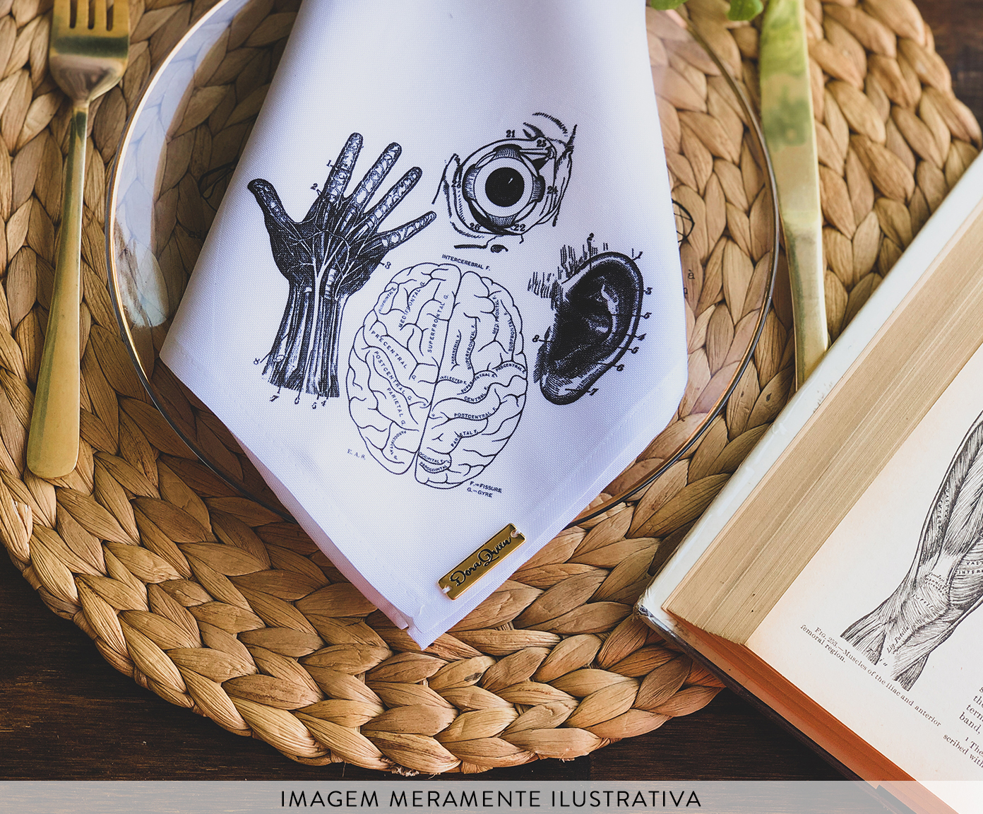 Guardanapo Anatomia I - image 1
