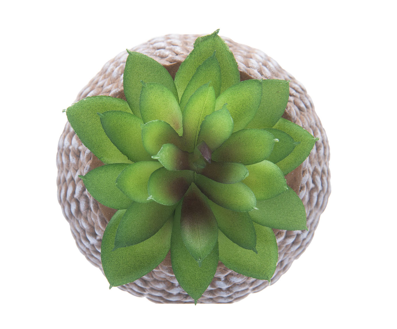 Cachepot Sisal com Suculenta I image number 3