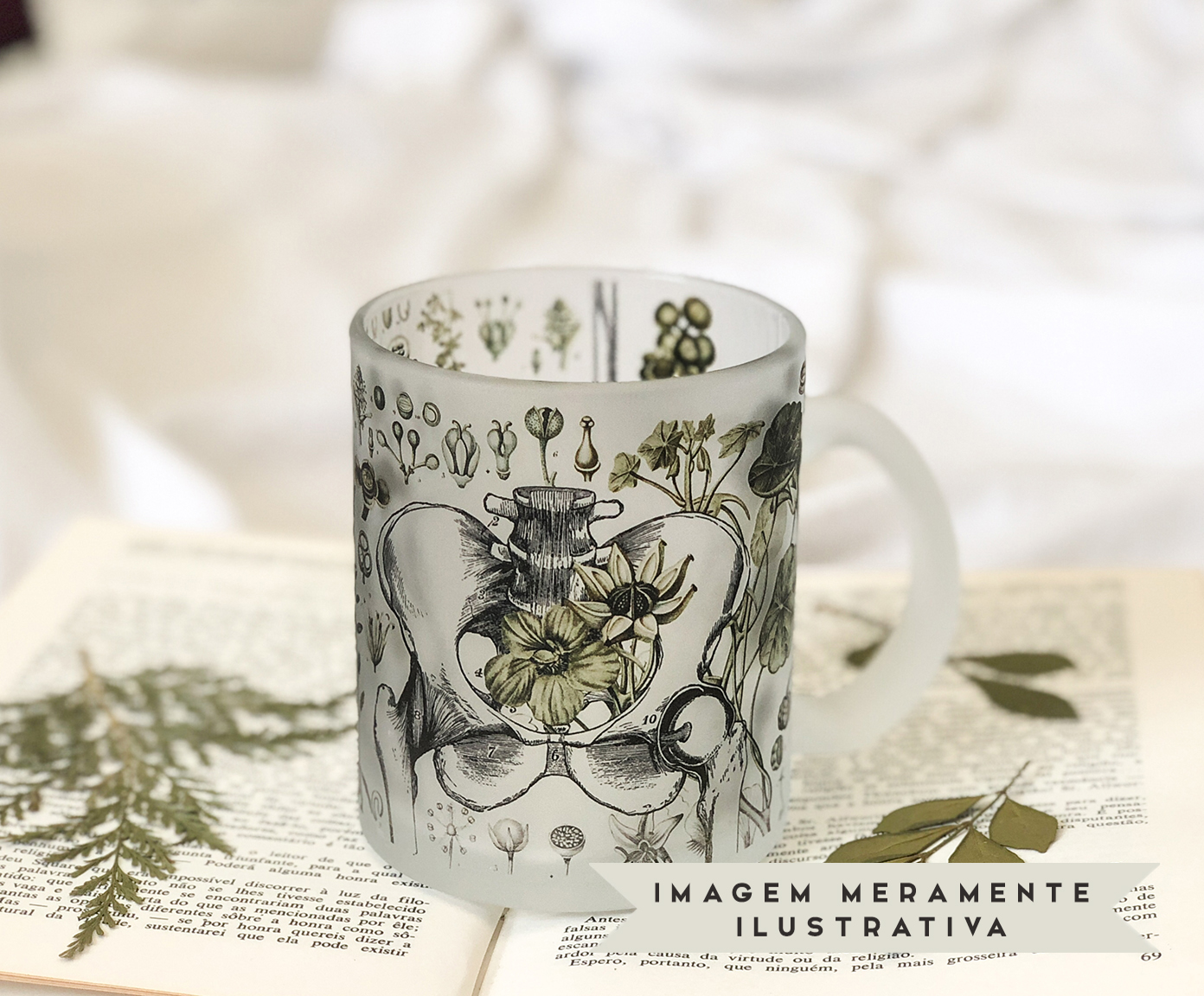Caneca Botanical image number 4