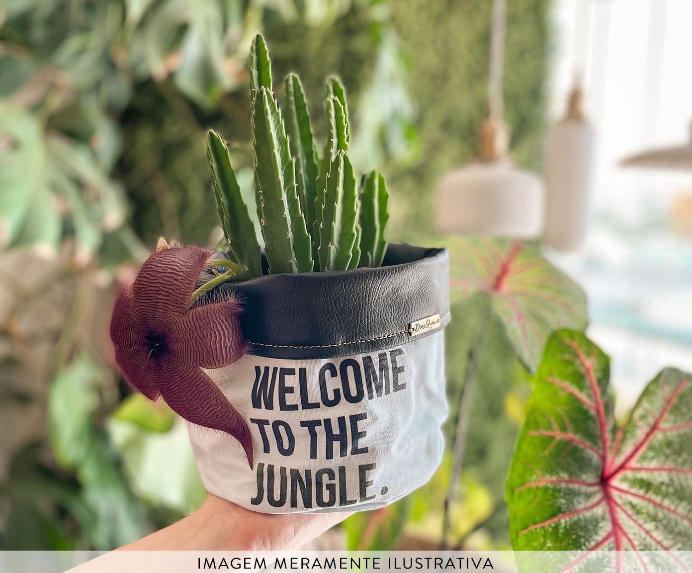 Cachepot Welcome To The Jungle Preto e Branco image number 4