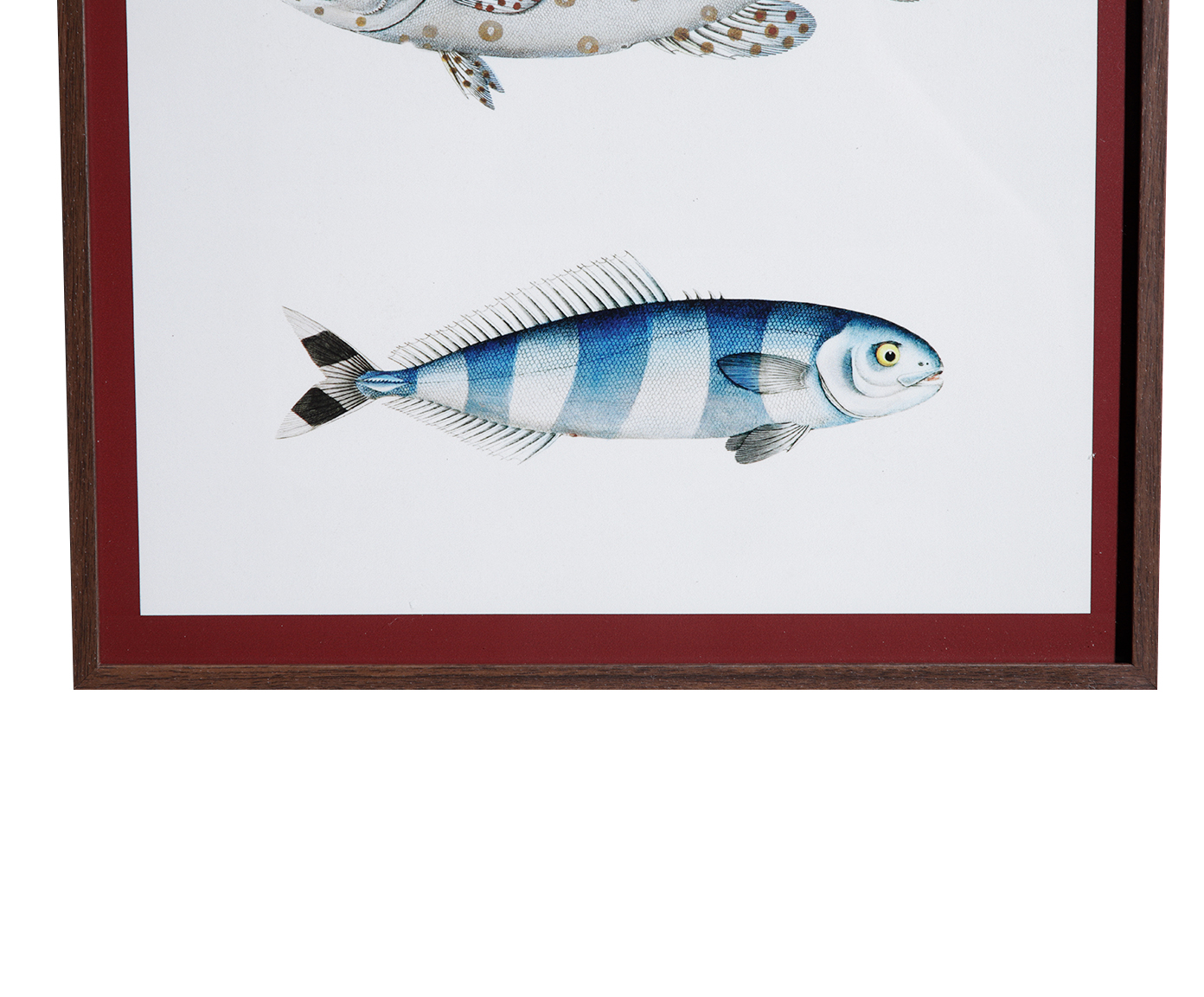 Quadro Decorativo Pescaria image number 2