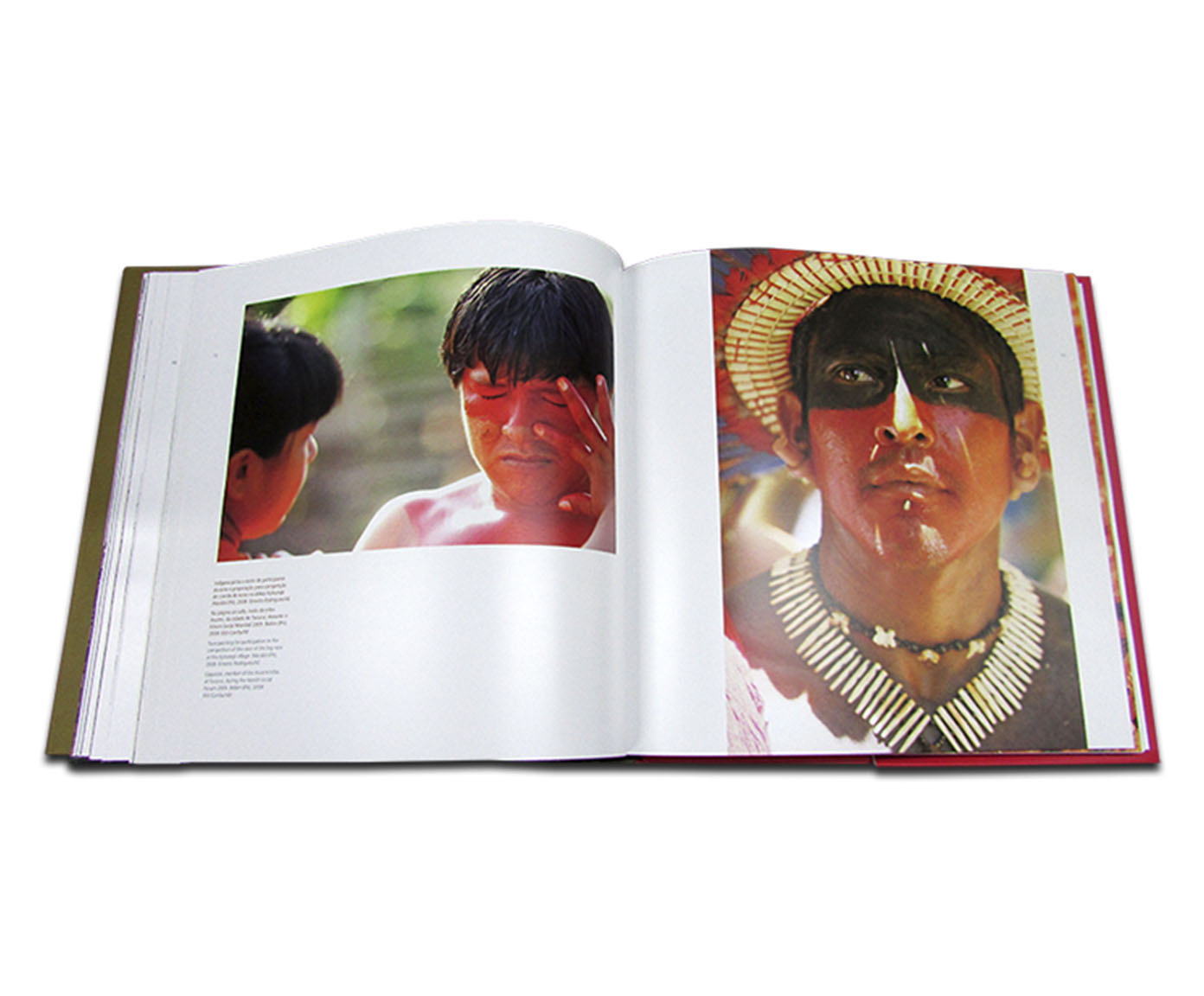 Livro "Ra&iacute;zes Do Brasil" - image 1