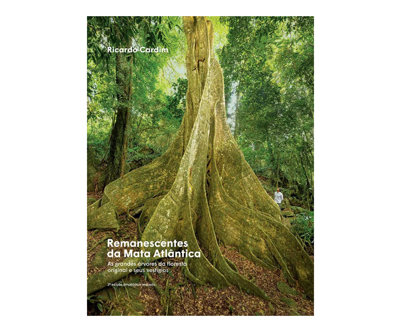 Livro "Remanescentes Da Mata Atlantica" - image 0