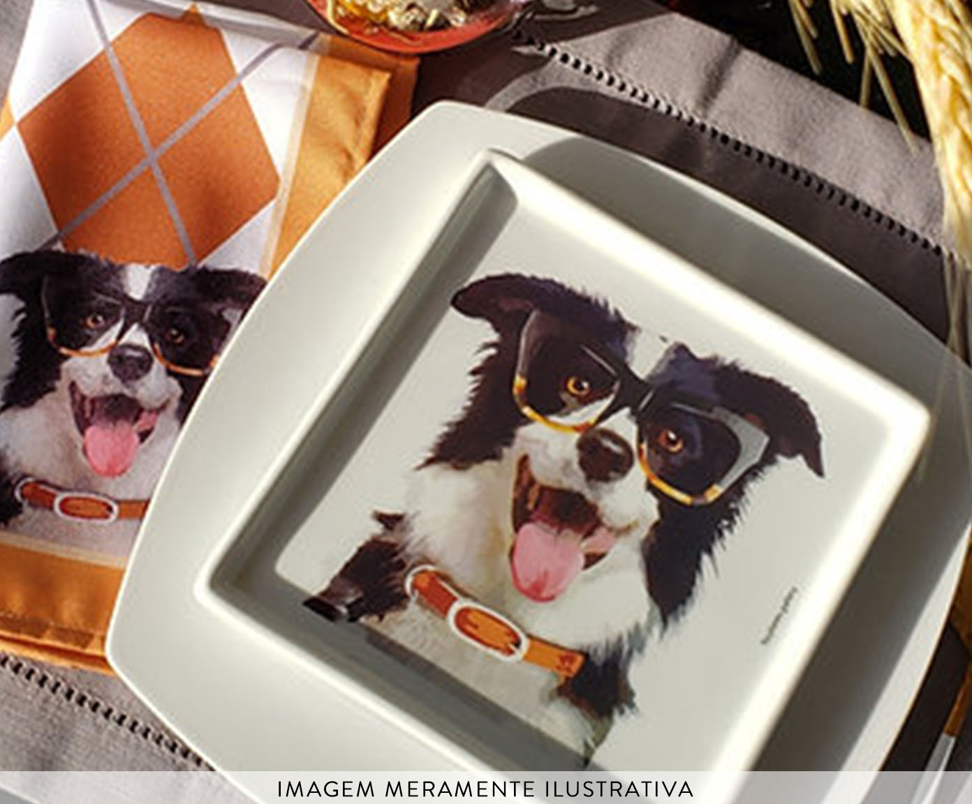 Prato de Porcelana Border Collie Jorge - image 1