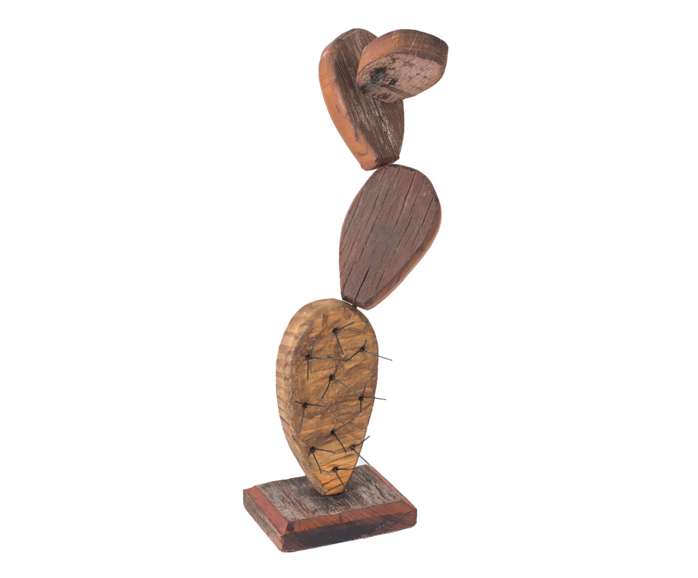 Cacto Natural - image 0