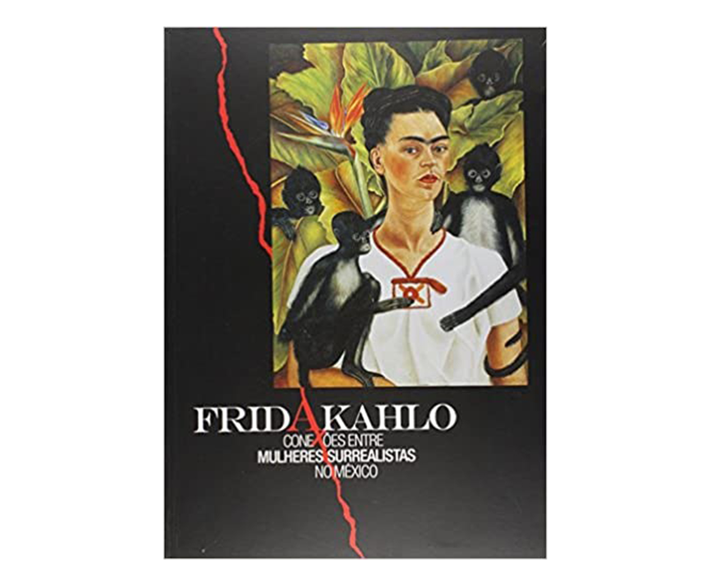 Livro "Frida Kahlo - Conex&otilde;es Entre Mulheres Surrealista" - image 0