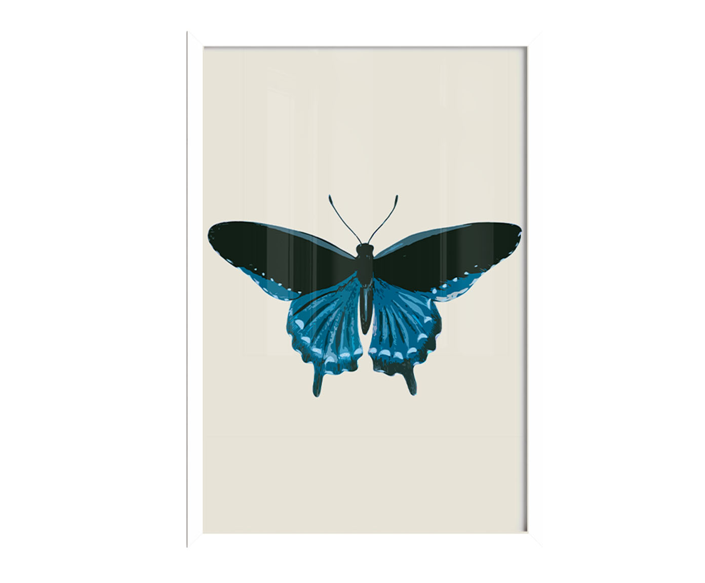 Quadro Borboleta Azul com Moldura Branca - image 0