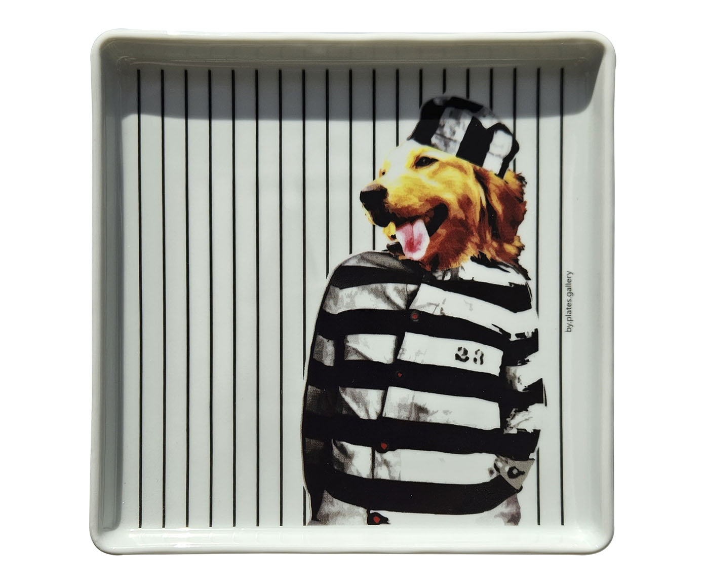 Prato de Porcelana Small Golden Retriver Prisoner Color - image 0