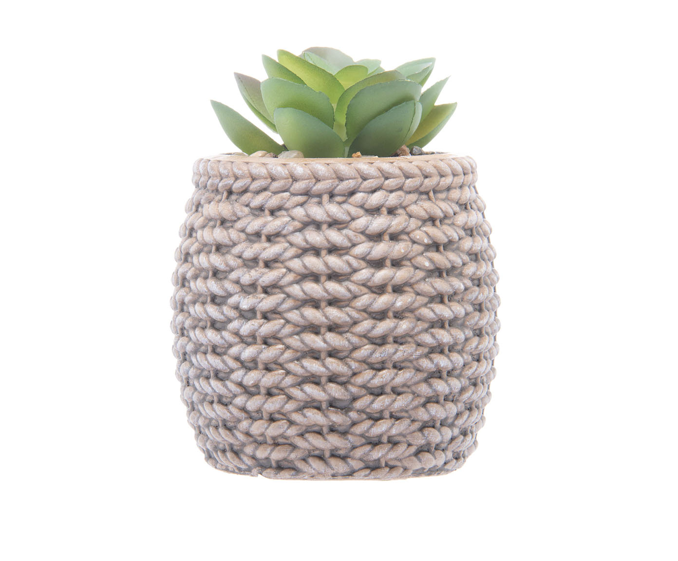 Cachepot Sisal com Suculenta II - image 0