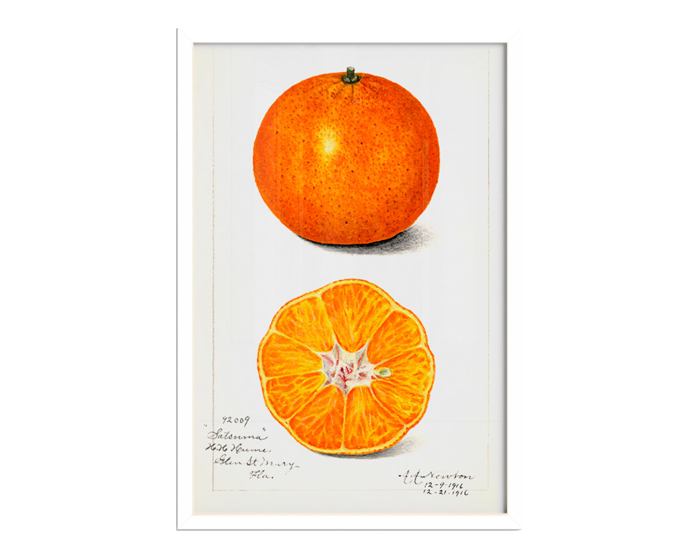 Quadro Laranja Vintage com Moldura Branca - image 0