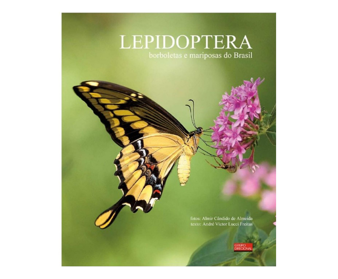 Livro "Lepidoptera - Borboletas E Mariposas Do Brasil" - image 0