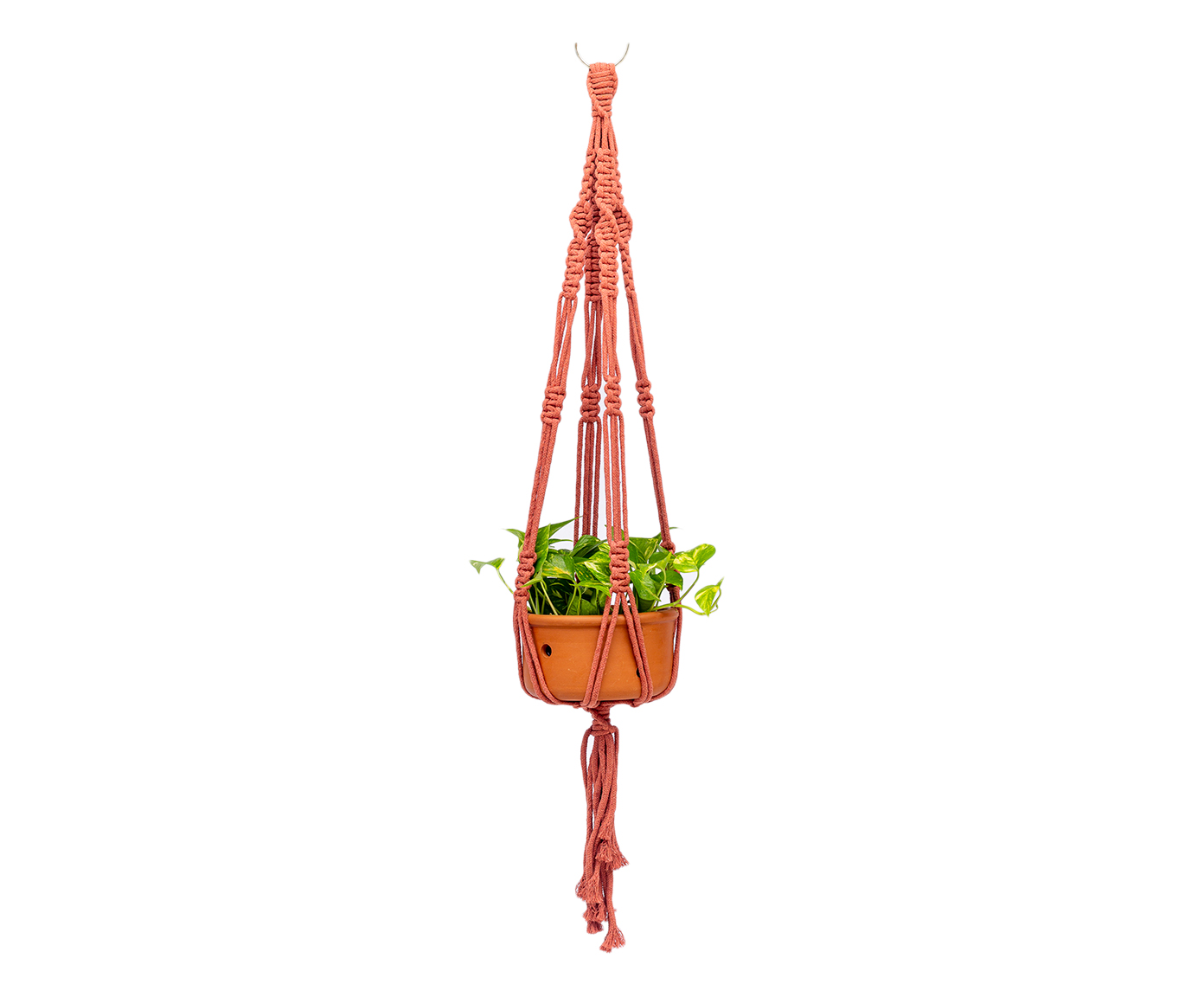 Hanger em Macram&ecirc; Mega Terracota - image 0